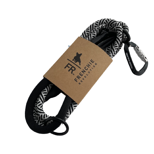 Black & White Leash